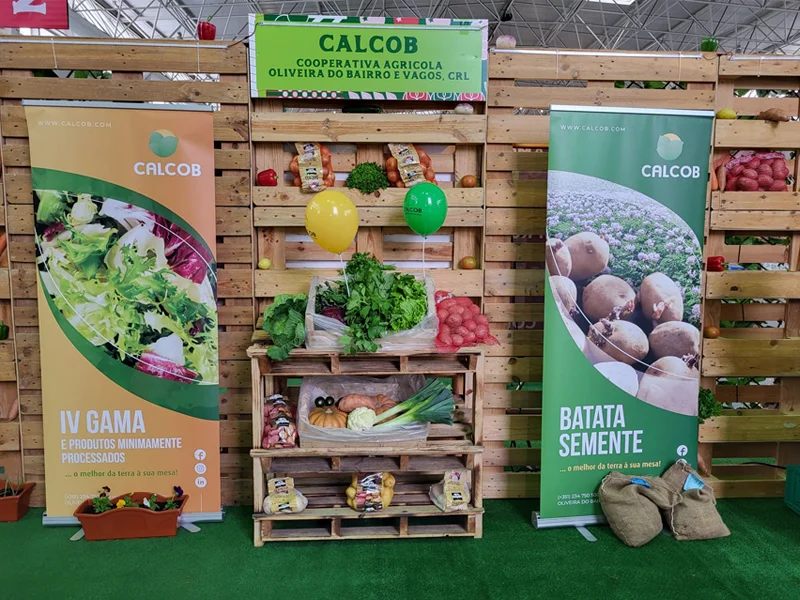calcob expositor legumes vegetais frente