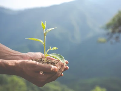 contactos ecozero biofactor solucoes ambientais lisboa