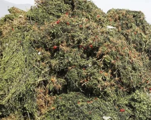 resíduos agrícolas biorresíduos biomassas ecozero biofactor