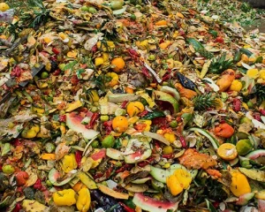resíduos alimentares biorresiduos biomassas ecozero biofactor